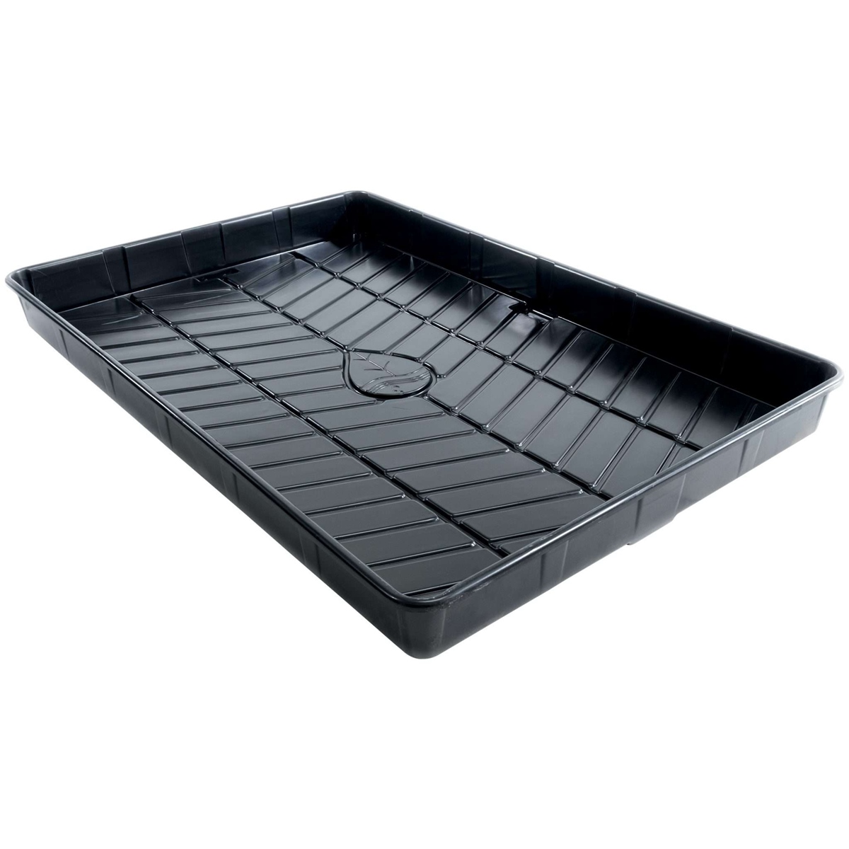 11 Amazing Grow Tray for 2023