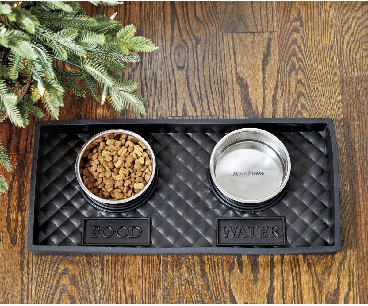 11 Best Pet Food Tray for 2024