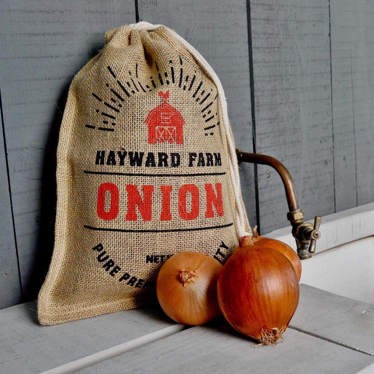 11 Incredible Onion Storage Bag for 2024