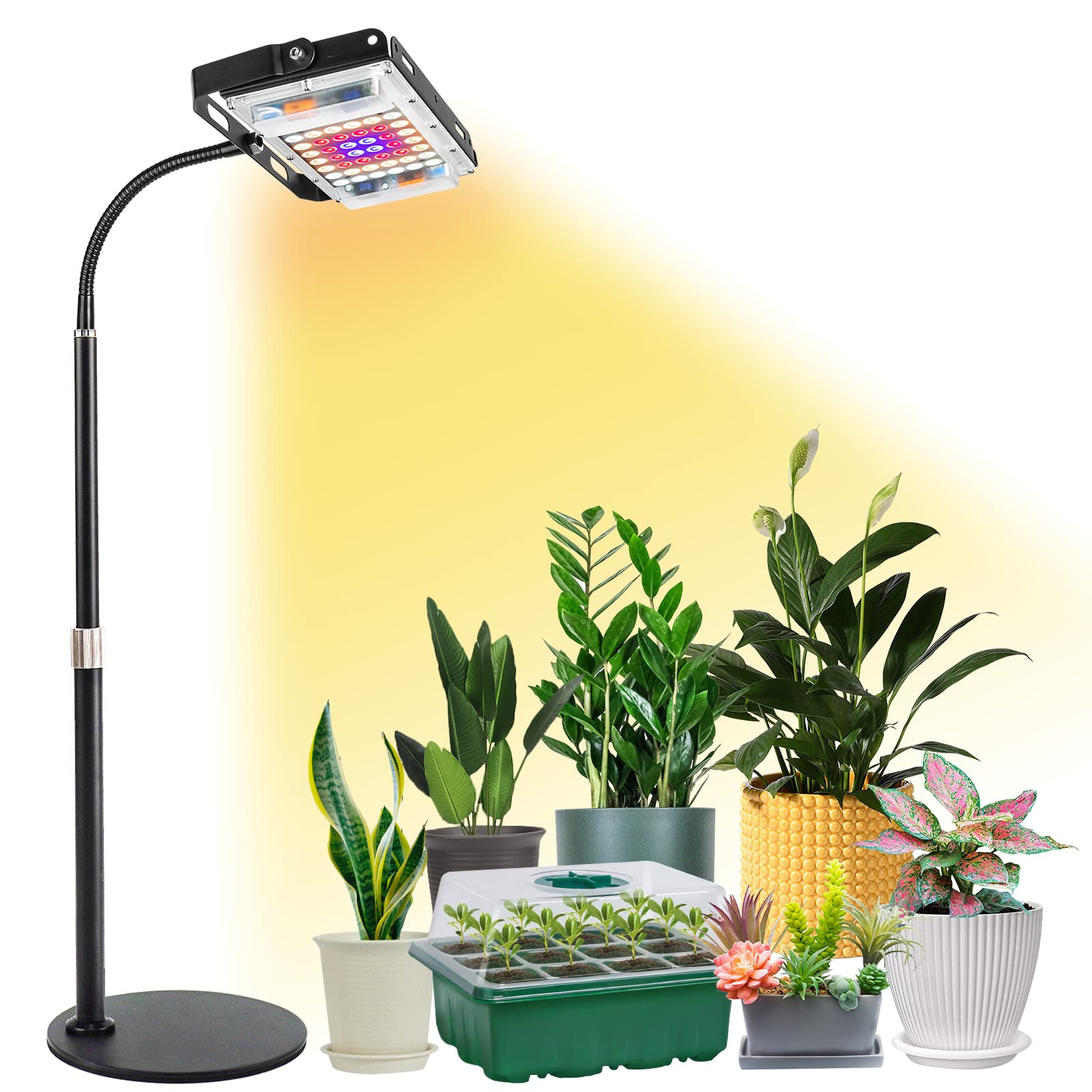 11 Superior Grow Lamp for 2024