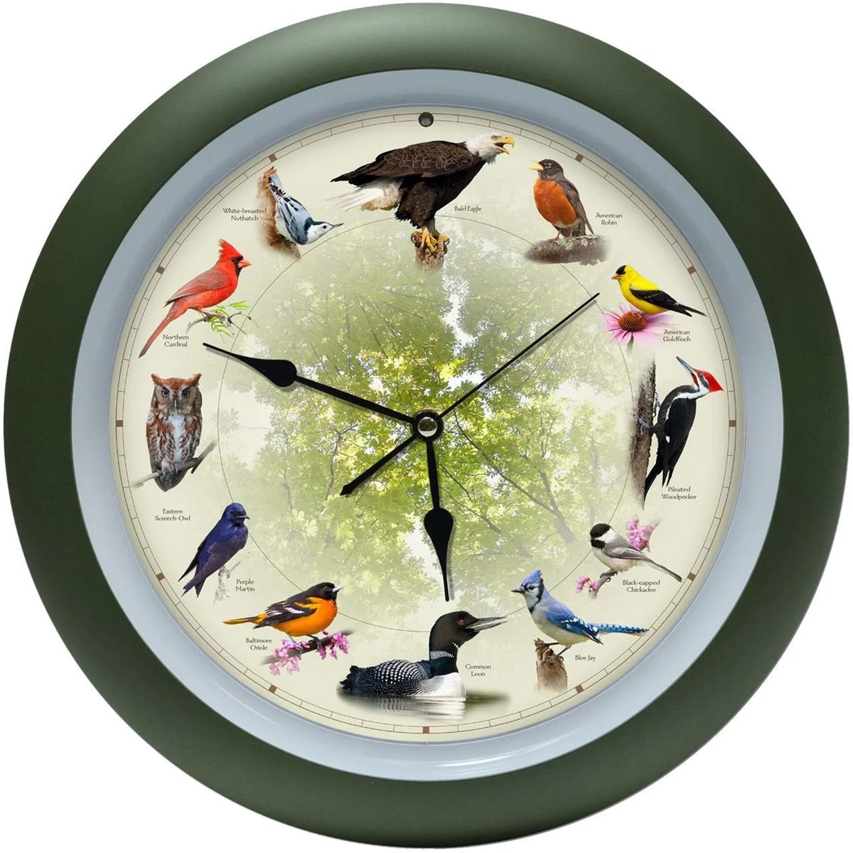 11 Unbelievable Bird Clock That Sings On Hour for 2024