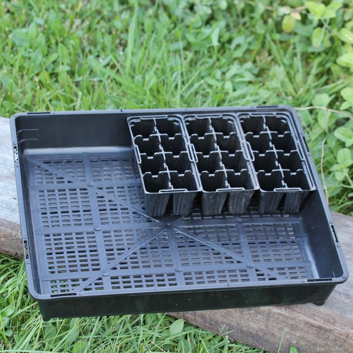 11 Unbelievable Seedling Tray for 2024