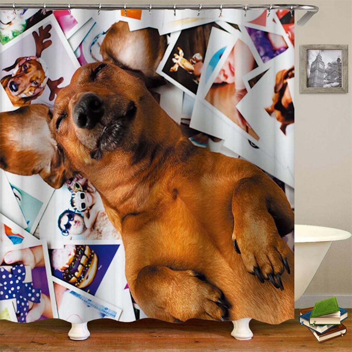 12 Best Dog Shower Curtain for 2024