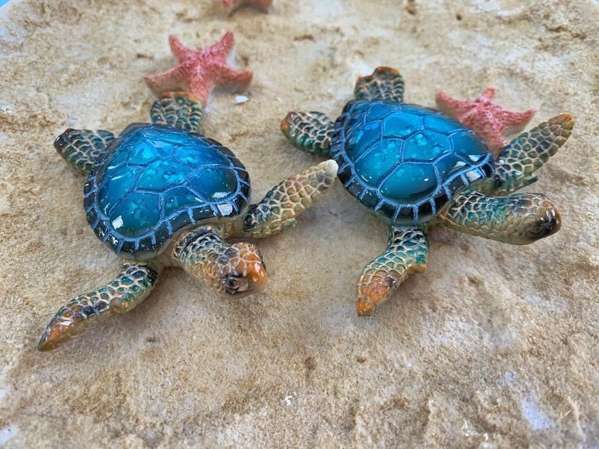 12 Best Sea Turtle Figurine for 2024