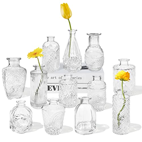 12 Glass Bud Vases Set