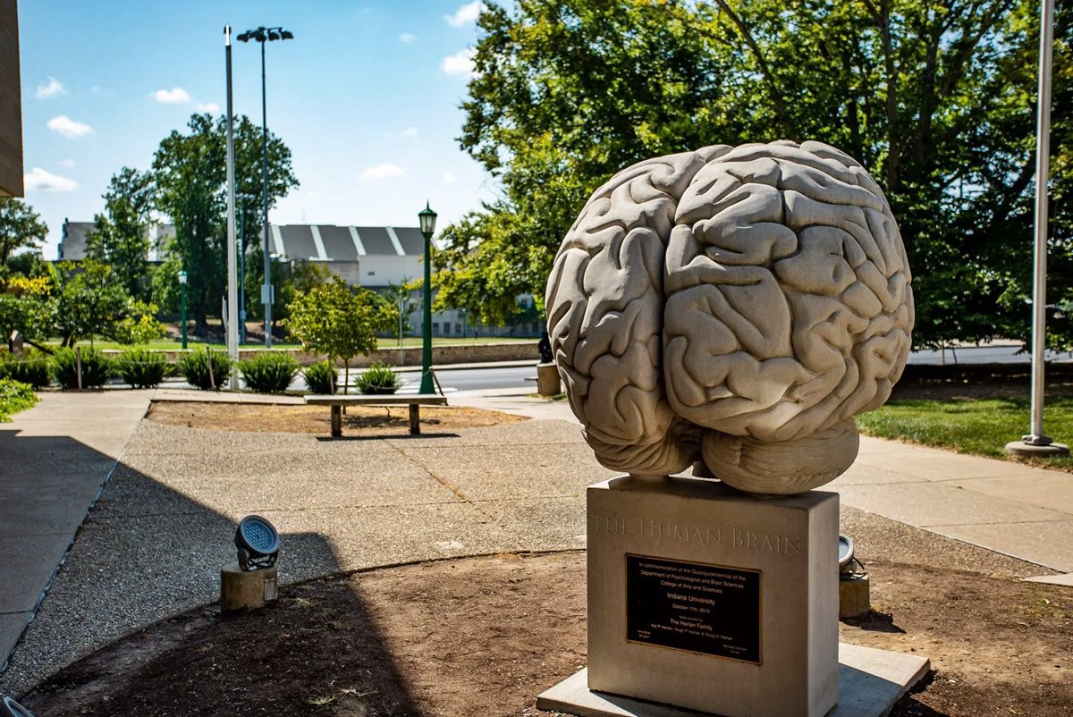 12 Incredible Brain Sculpture for 2024
