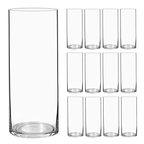 12 Pack Clear Glass Cylinder Vases