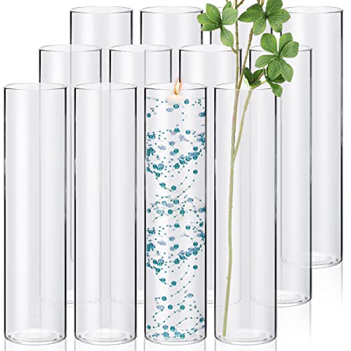 12 Pack Glass Cylinder Vases