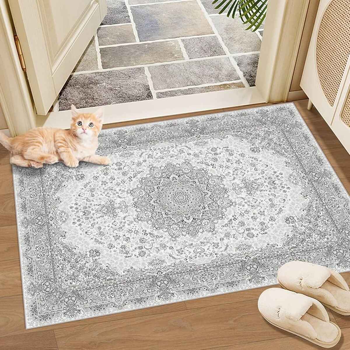 13 Best 2X3 Rug for 2024