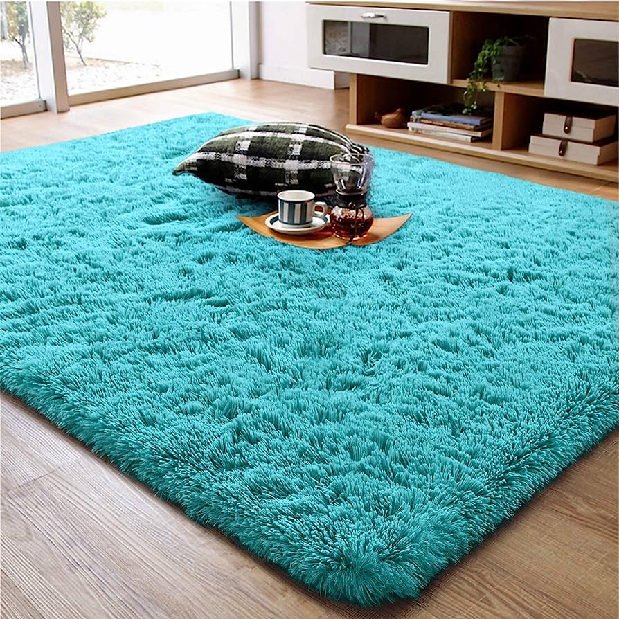 13 Unbelievable Teal Area Rug for 2024