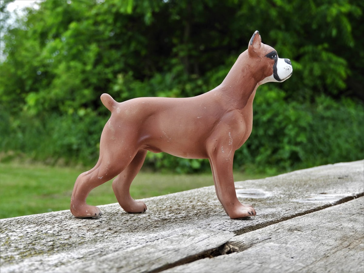 14 Best Boxer Dog Figurine for 2024