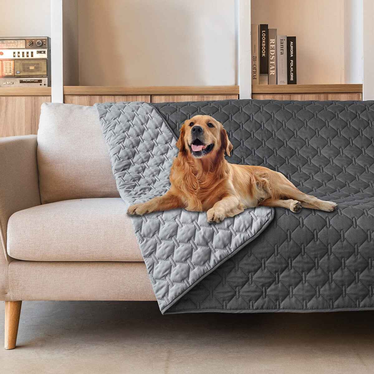 14 Superior Best Pet Stay Put Furniture Cover for 2023