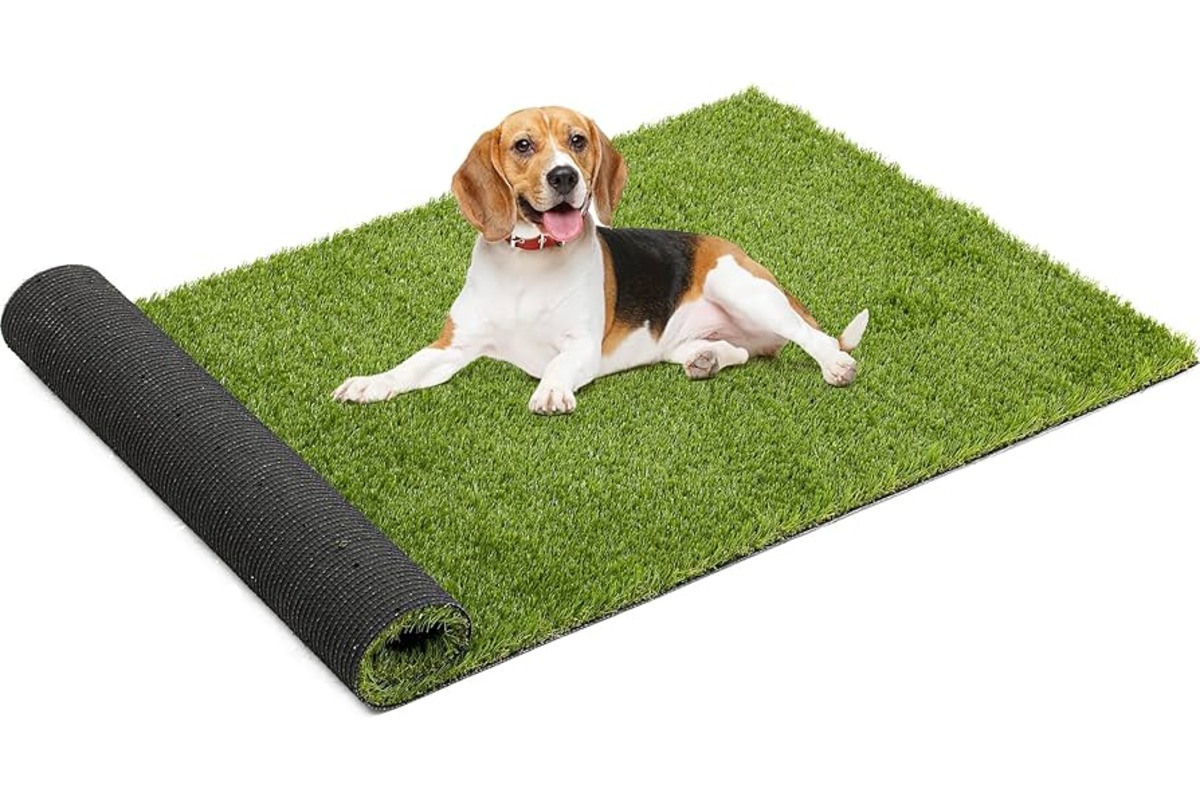14 Superior Turf Rug for 2024