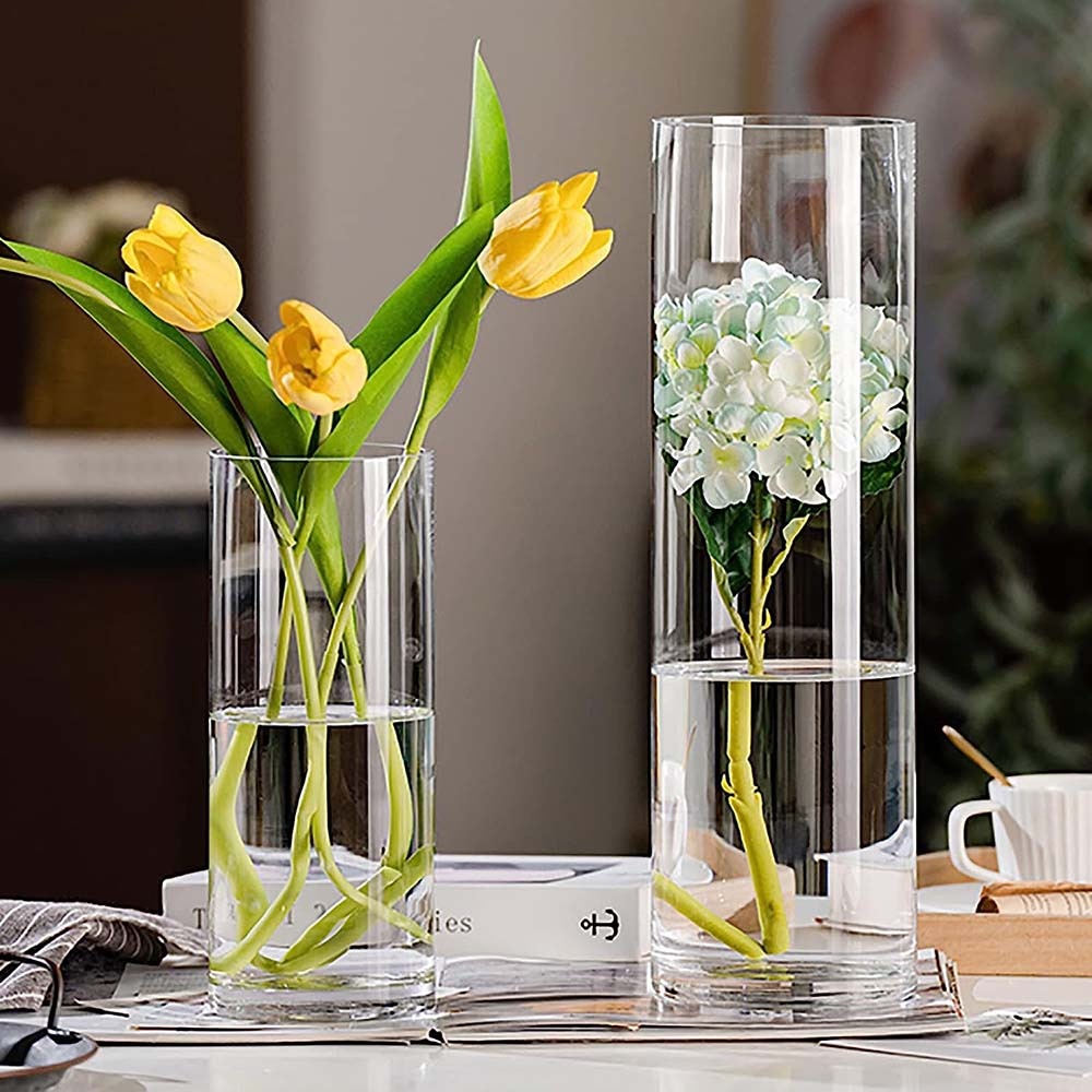 14 Unbelievable Tall Cylinder Glass Vase for 2024