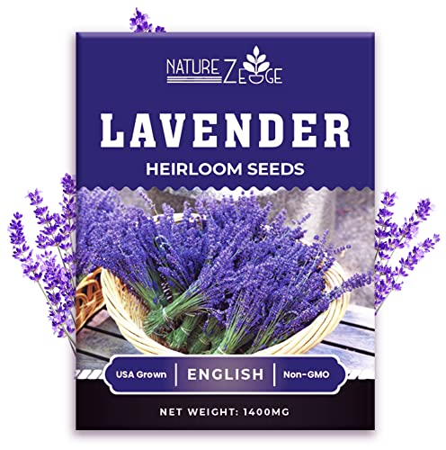 1400 English Lavender Seeds for Planting Indoors or Outdoors, 90% Germination, to Give You The Lavender Plant You Need, Non-GMO, Heirloom Herb Seeds (1 Pack)