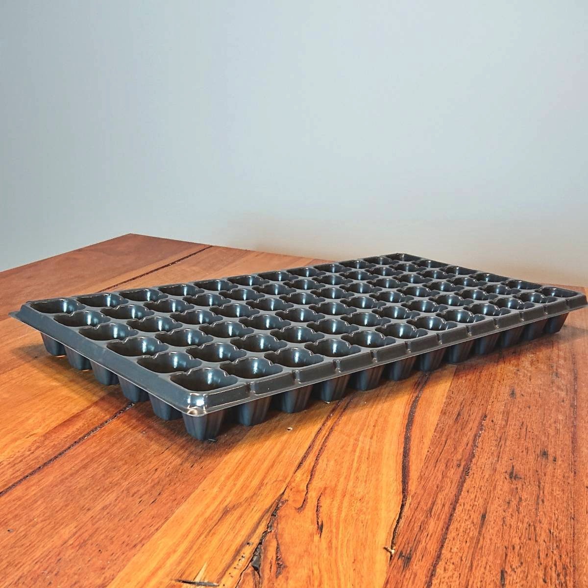 15 Amazing Seed Tray for 2023