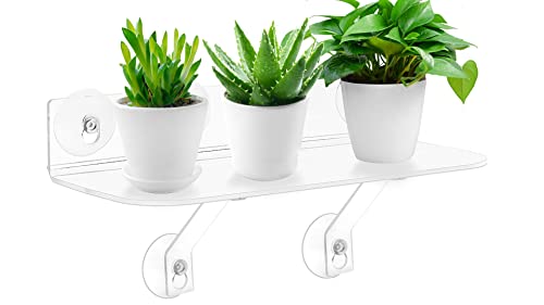 15 Inch Suction Cup Shelf for Window Plants