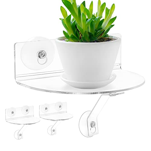 2 Pack Suction Cup Shelf for Plants Window
