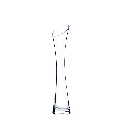 20CM Small Flower Vase Tall Thin Narrow Necked Glass Vases Clear Mini Mouth Single Stem Vases for Decorative Home Decor Living Room Office and Centerpieces