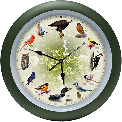 20th Anniversary Singing Bird Wall Clock