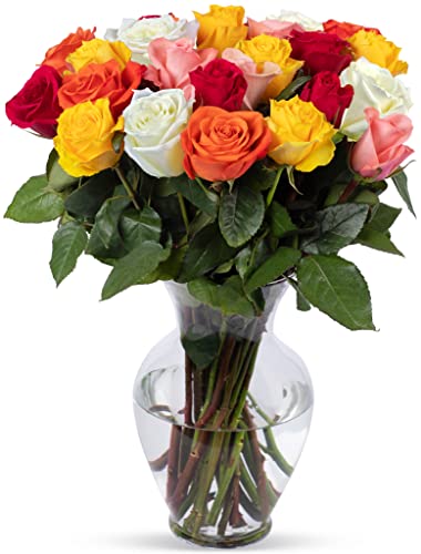 24 Stem Rainbow Roses with Vase, Prime Delivery