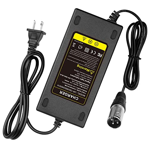24V 5A 3-Pin Male XLR Connector Battery Charger