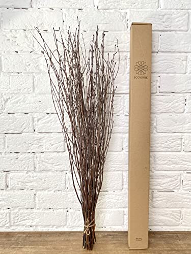 25 psc - Birch Branches - 73 cm, Natural Birch Twigs, Pack of 20-25 Stems, Long for Floor vases, 29 inch