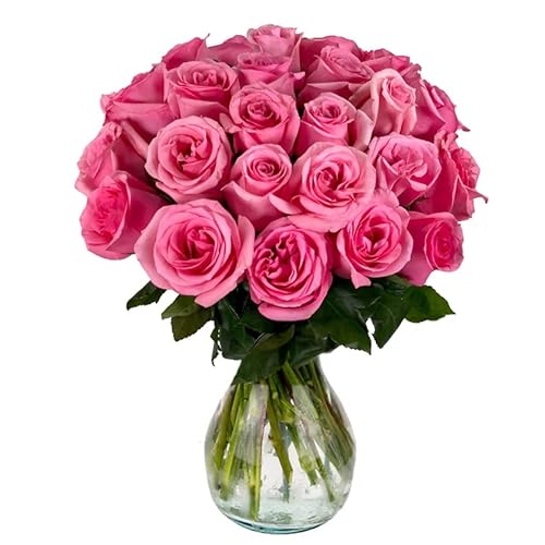 25 Roses with Vase, Pink | Arabella Bouquets