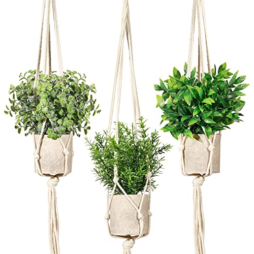 3 Pack Mini Fake Plants with Macrame Plant Hangers
