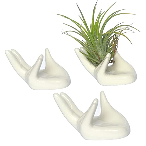 3 pcs Air Plant Holder Mini Hand Shape Stand