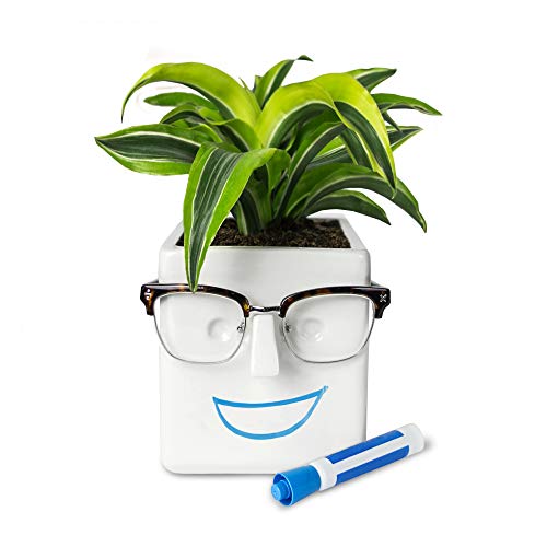 30 Watt Face Plant - Quirky Planter for Plants and Glasses