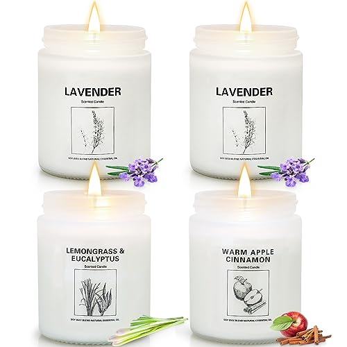 https://citizenside.com/wp-content/uploads/2023/11/4-pack-scented-candles-for-home-lavender-aromatherapy-jar-candles-41nekUQaYBL.jpg