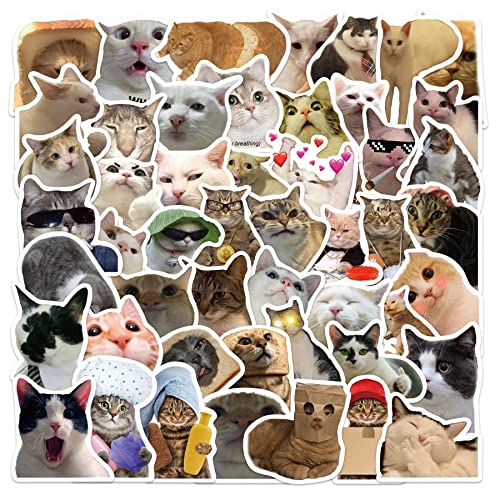 50Pcs Cute Cat Stickers