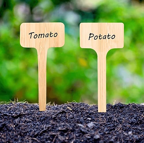 50pcs Extra Long Plant Labels, Bamboo T-Type Plant Tags, (Sharper Angles) 50pcs Extra Long Plant Labels, Bamboo T-Type Plant Tags, (Sharper Angles)