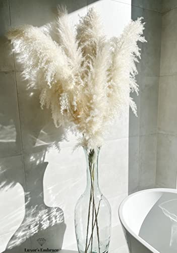 55" Extra Tall Premium Natural Pampas Grass Decor