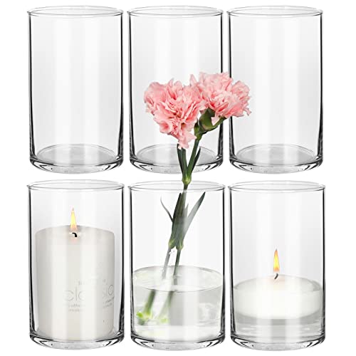6 Inch Clear Glass Vases