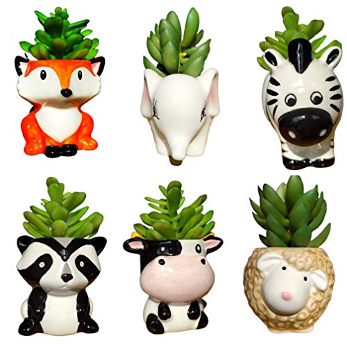 6 Pcs Cute Cartoon Animal Shaped Succulent Cactus Flower Pot/Planter/Container