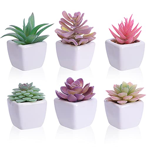 6pcs Artificial Succulent Plants in Pots