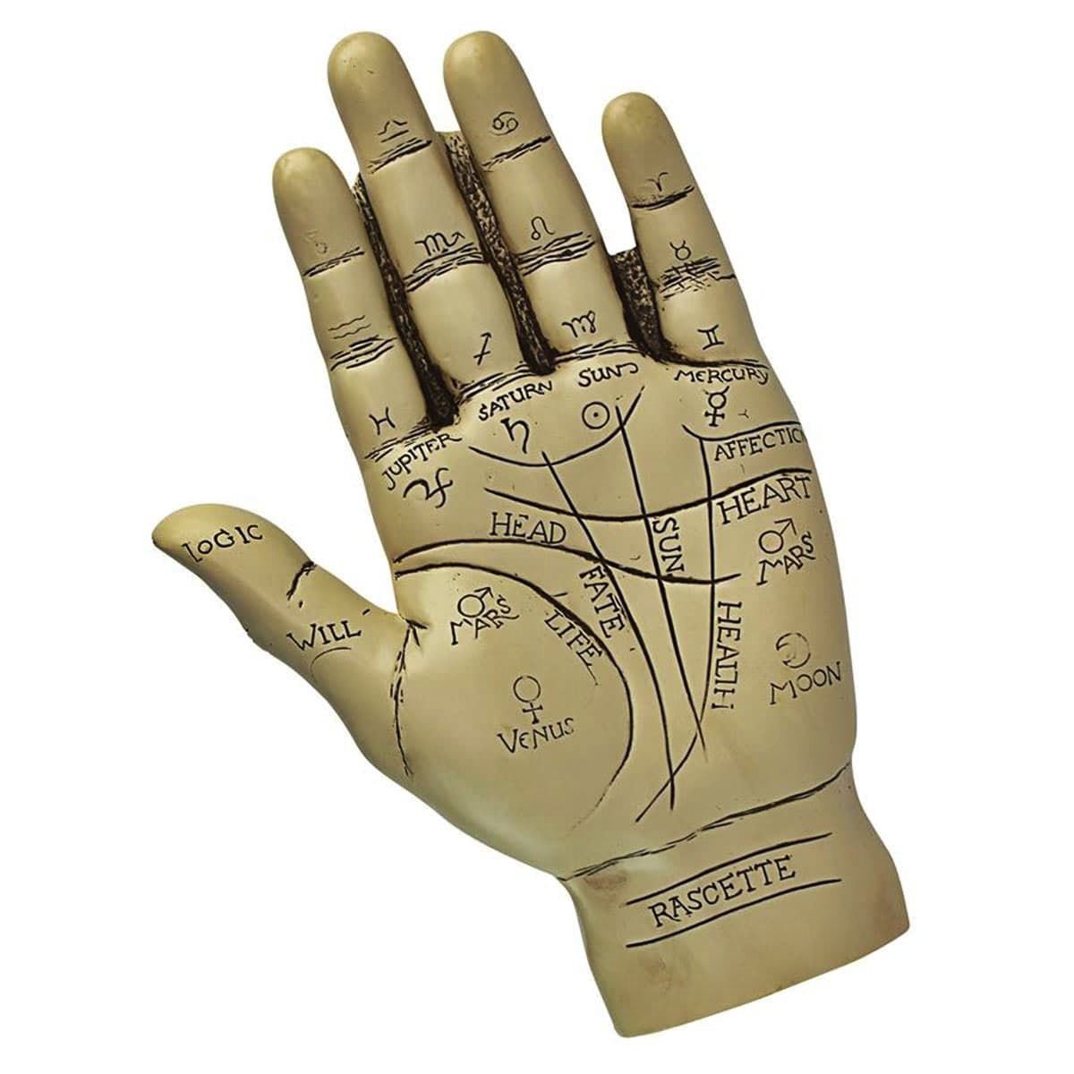 8 Amazing Palmistry Hand Sculpture for 2024