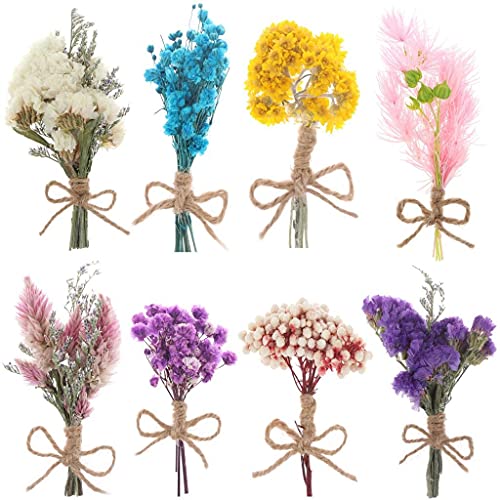 8 Pcs Mini Gypsophila Bouquets Dried Flower Daisy Bundles Dry Flower&Leaves Natural Lagurus Dried Embossing Flower Plant Stem Bunch for DIY Craft,Card Decoration,Photo Props,Home Party&Wedding Decor