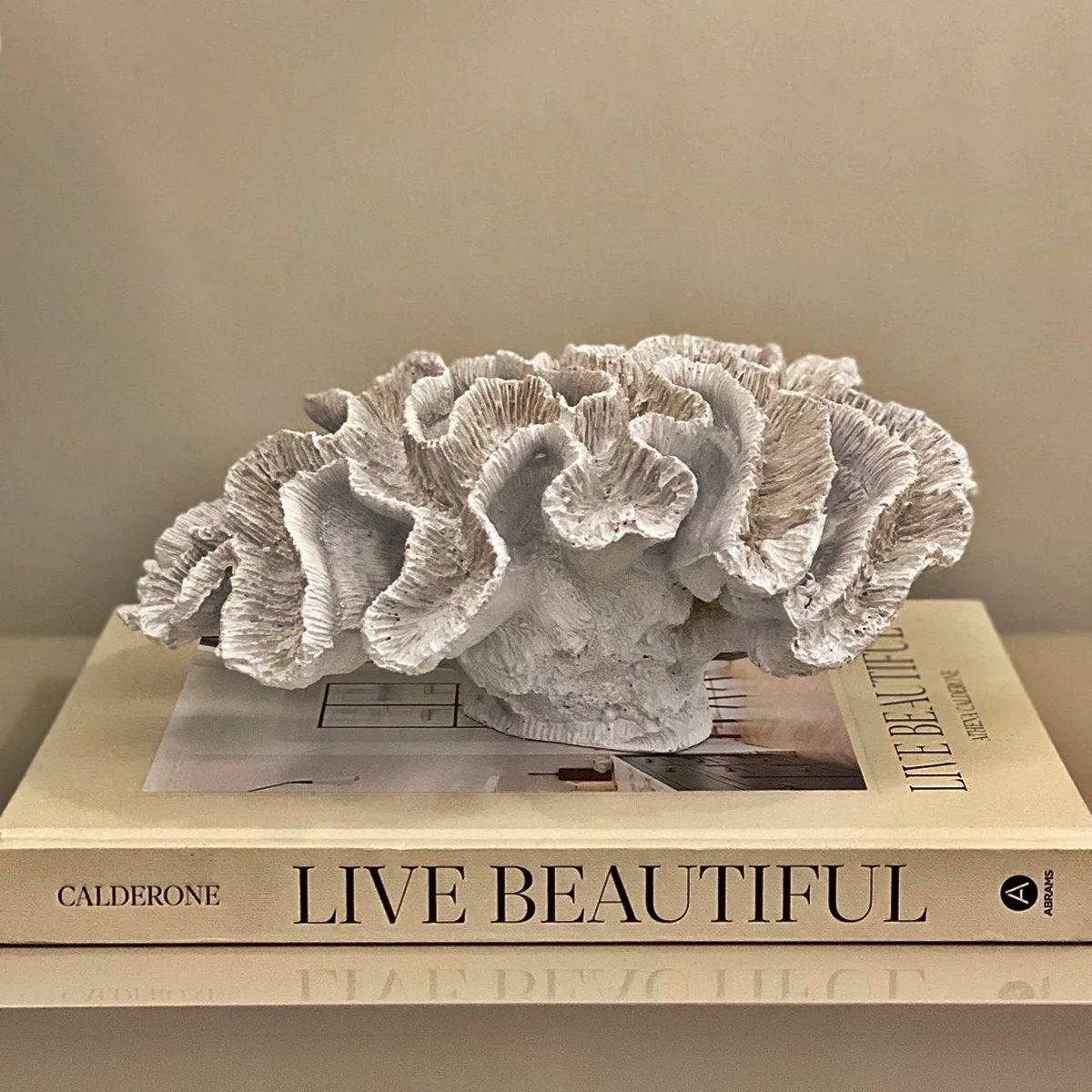 8 Unbelievable Coral Sculpture for 2024
