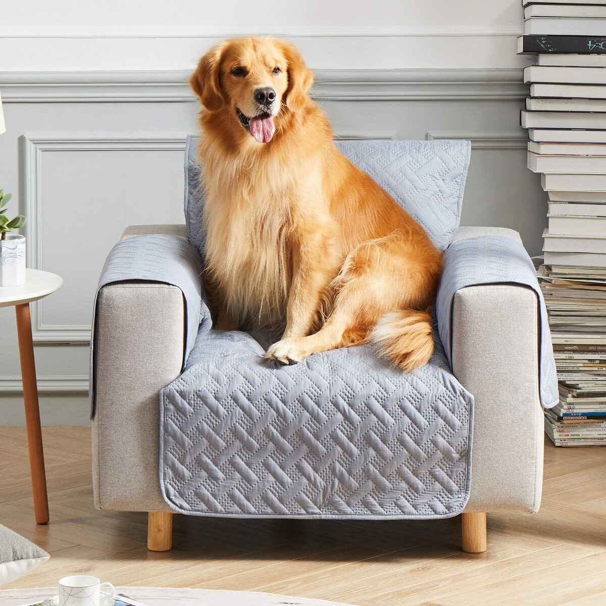 9-incredible-dog-furniture-cover-for-2023