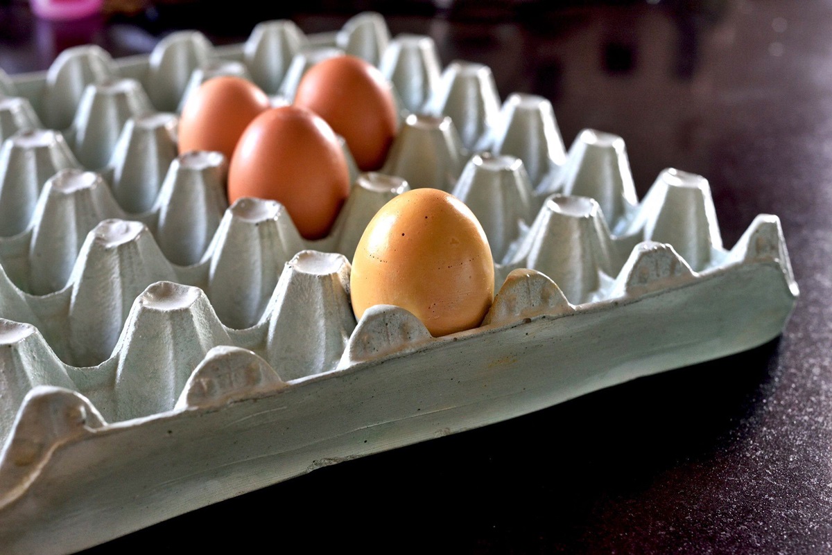 9 Unbelievable Egg Tray for 2024