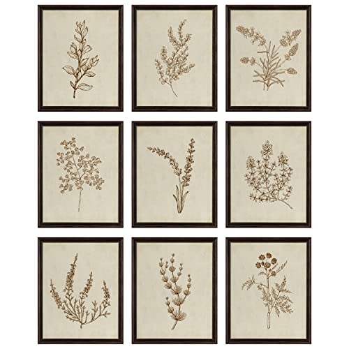 97 DECOR Botanical Wall Art - Vintage Botanical Prints, Plant Art Wall Decor, Neutral Floral Wall Art Pictures, Beige Flower Poster Paintings, Flower Sketch Drawing Gallery for Bedroom (8x10 UNFRAMED)
