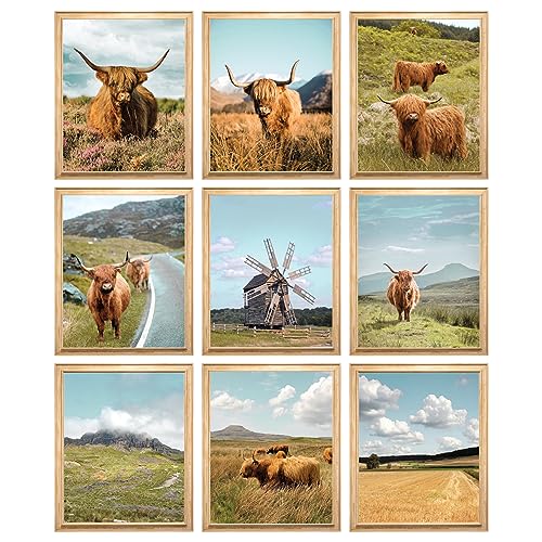 97 DECOR Highland Cow Wall Art