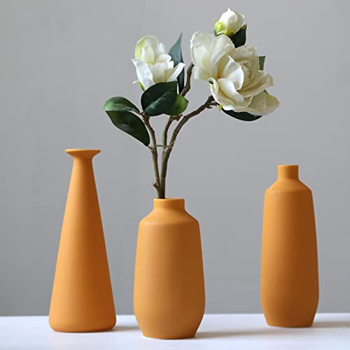 Abbittar Ceramic Vase Set of 3