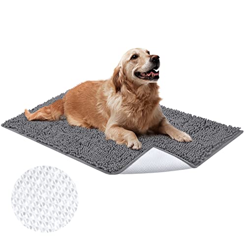 Absorbent Dog Rug with Non-Slip Backing