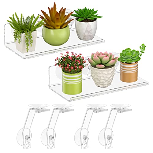Acrylic Suction Cup Shelf for Window Gardens