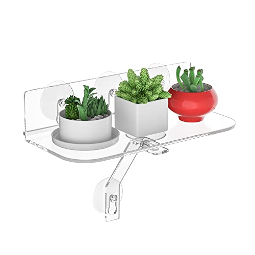 Acrylic Window Shelf for Plants