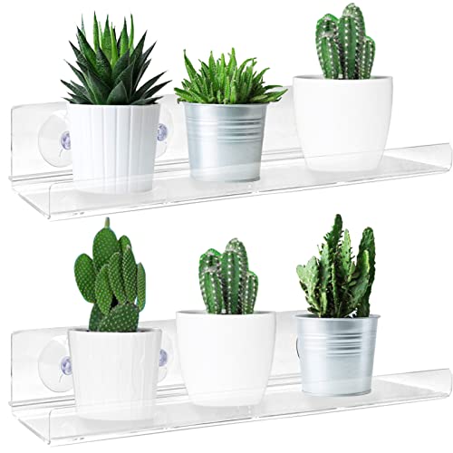 Acrylic Window Shelf for Plants - Suction Cup Clear Indoor Plant Shelf